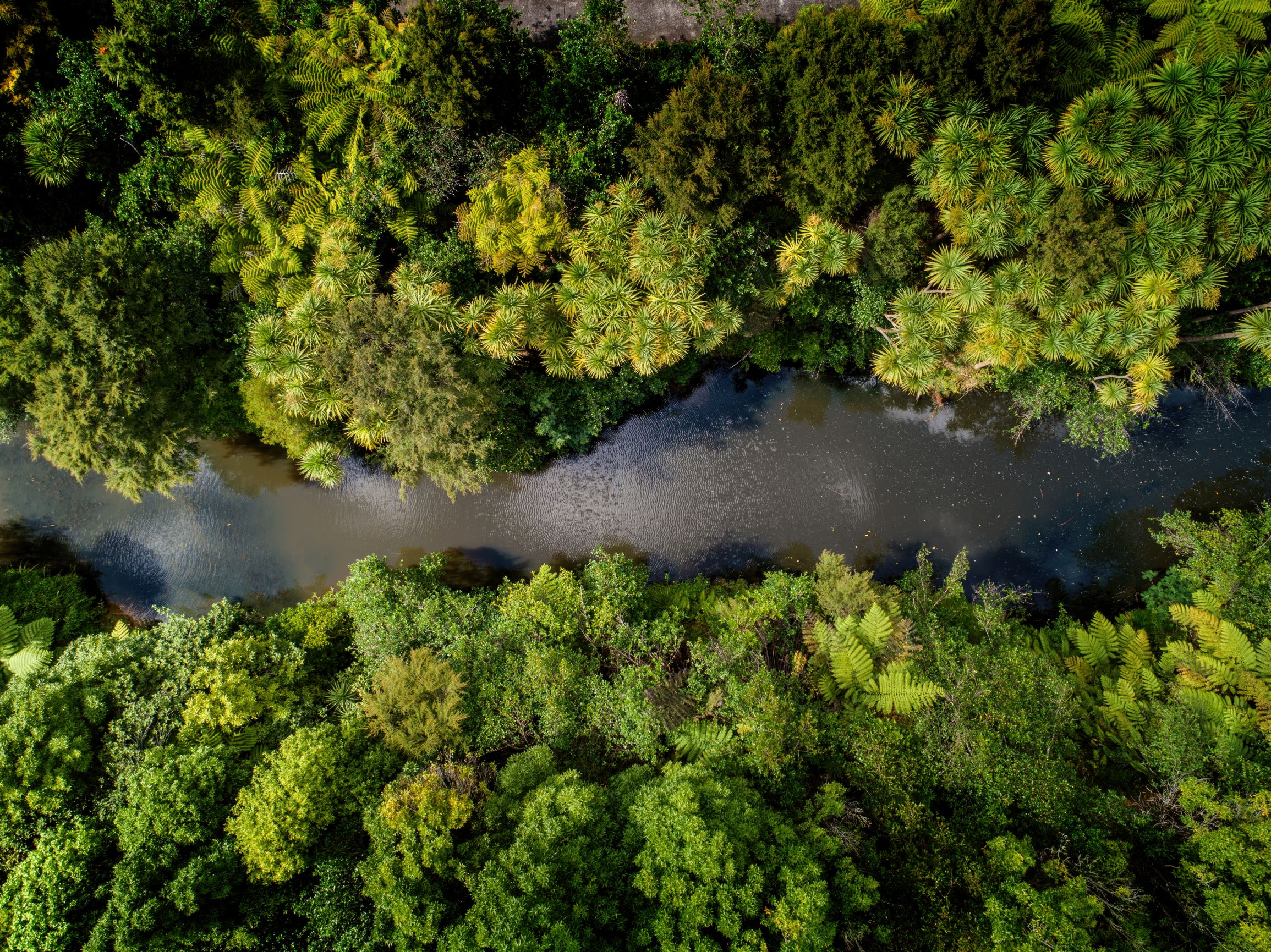 Northland Pathology is now Awanui Labs News Awanui Labs Northland