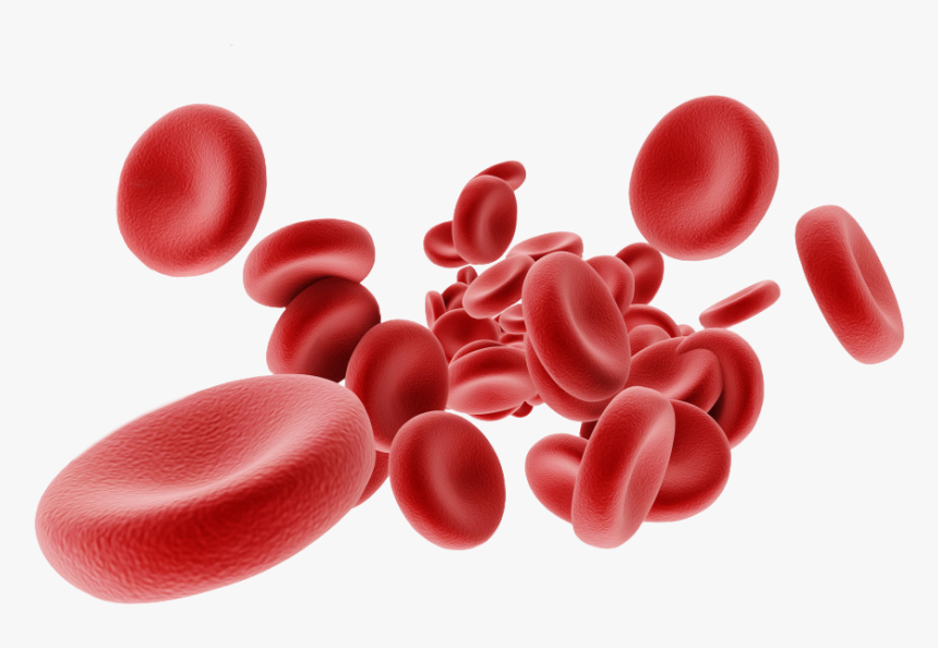 new-d-dimer-units-for-nelson-marlborough-news-awanui-labs